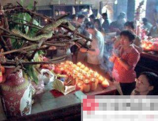 Một đêm lạc vào chùa rắn độc, Tin tức - Sự kiện,