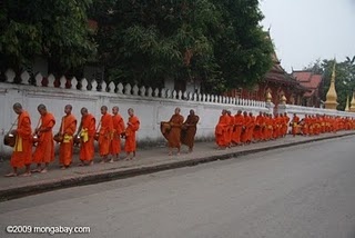 laos_1197 laos_1197