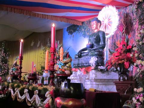 935151231_cd209phat5